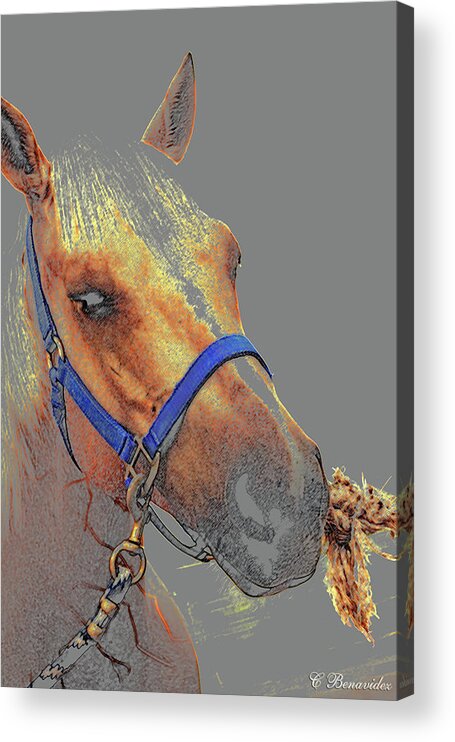 Horse Acrylic Print featuring the photograph Legend of a Horse by Charles Benavidez