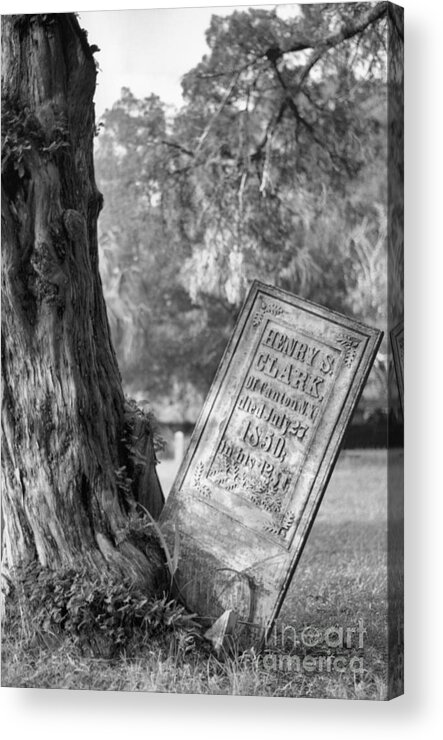 Graves Acrylic Print featuring the photograph Life After Death by Richard Rizzo