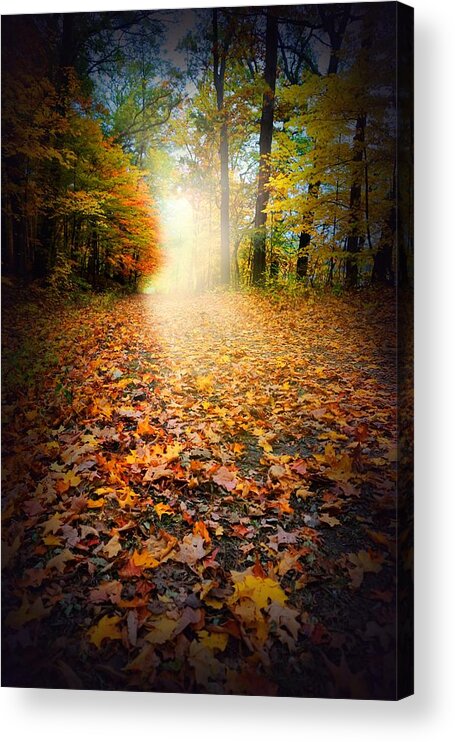 Seasons Acrylic Print featuring the digital art Light over Foliage by Lilia S