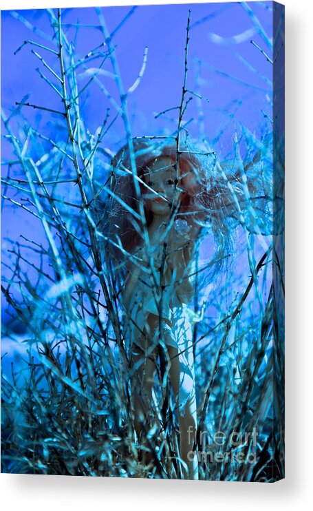 Fairy Acrylic Print featuring the photograph Lily Is Braver by Kate Purdy