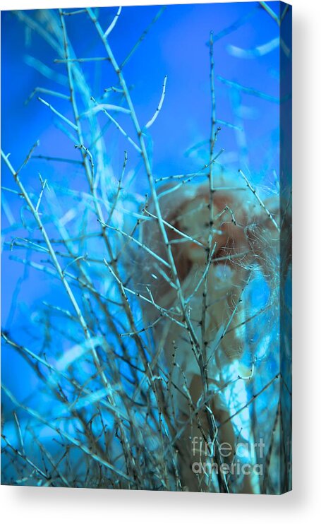 Faerie Acrylic Print featuring the photograph Lily Told Me by Kate Purdy