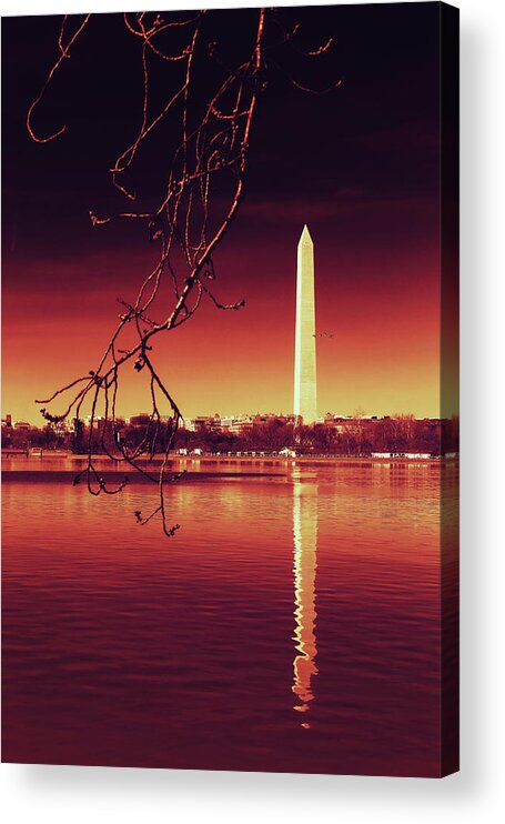 Washington Acrylic Print featuring the photograph Line Up by Iryna Goodall