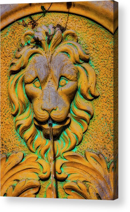 Lion Water Fountain Acrylic Print featuring the photograph Lion Water Fountain by Garry Gay
