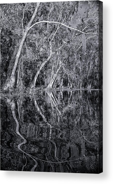 Sherry Day Acrylic Print featuring the photograph Liquid Silver by Ghostwinds Photography