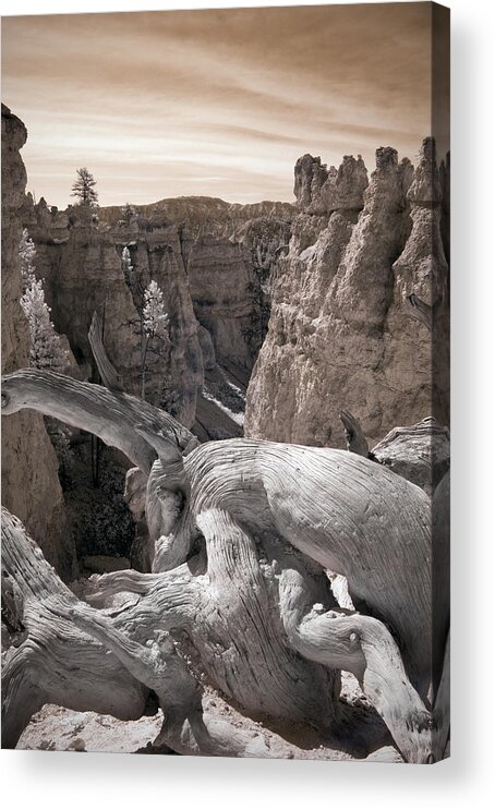 Clouds Acrylic Print featuring the photograph Lived Well by Mike Irwin