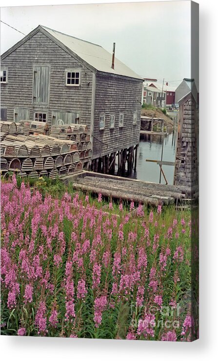 Lobster Acrylic Print featuring the photograph Lobster House Grand Manan by Thomas Marchessault