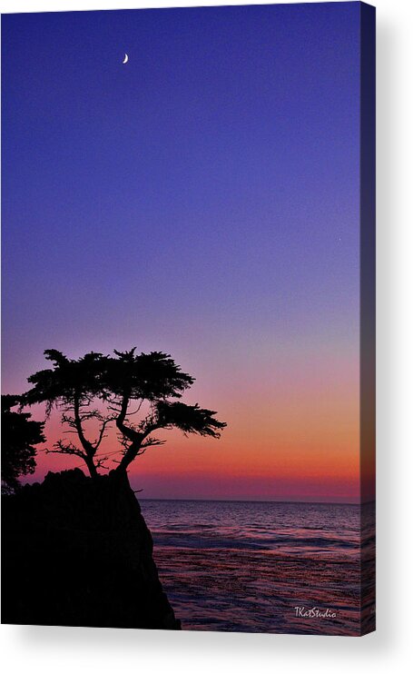 Cypress Acrylic Print featuring the photograph Lone Cypress Tree at Pebble Beach by Tim Kathka