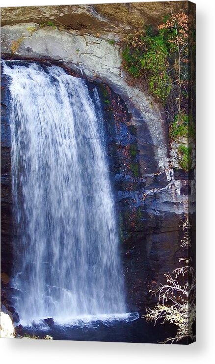 Forest Acrylic Print featuring the photograph Looking Glass Falls 2016 by Cathy Harper