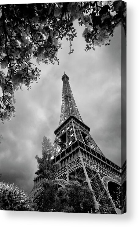 Photography Acrylic Print featuring the photograph Looking Up by Frederic A Reinecke