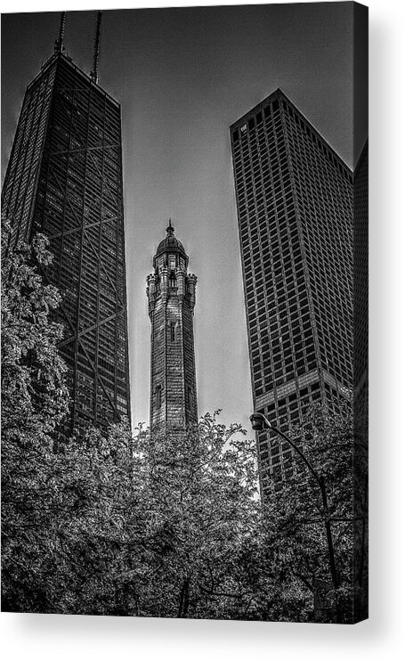 Illinois Acrylic Print featuring the photograph Looking Up in Chicago by Roger Passman