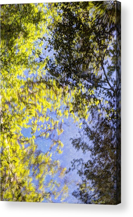  Acrylic Print featuring the photograph Looking Up Or Down by Heidi Smith
