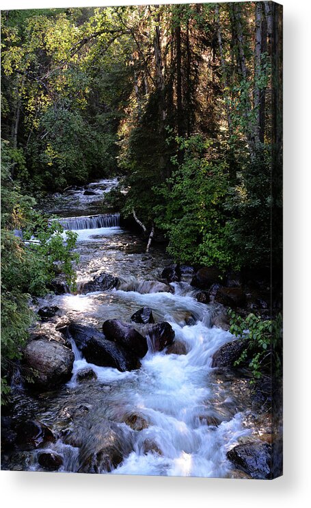 Lost Creek Acrylic Print featuring the photograph Lost Creek by Whispering Peaks Photography