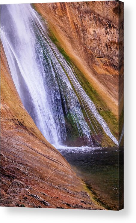 Lower Calf Creek Falls Acrylic Print featuring the photograph Lower Calf Creek Falls by Chuck Jason
