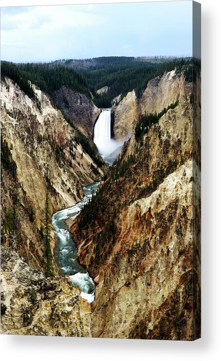 Wyoming Acrylic Print featuring the photograph Lower Yellowstone Falls by Eric Foltz
