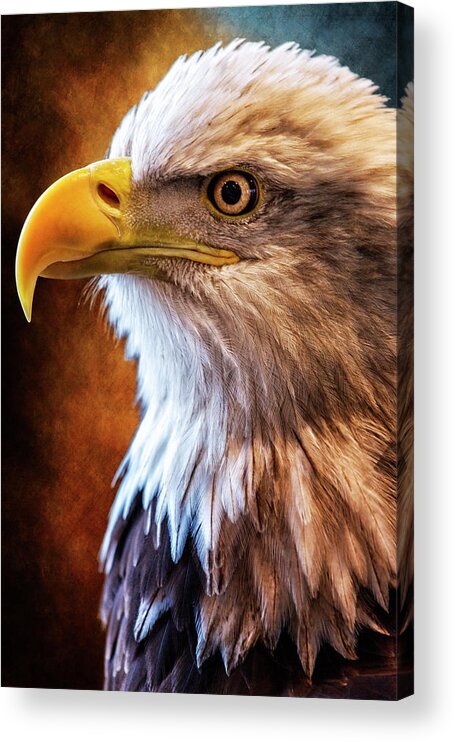 Bald Eagle Acrylic Print featuring the photograph Make America Proud Again by Bill and Linda Tiepelman