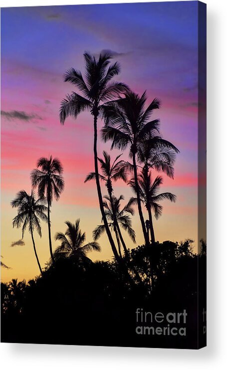 Maui Acrylic Print featuring the photograph Maui Palm Tree Silhouettes by Eddie Yerkish
