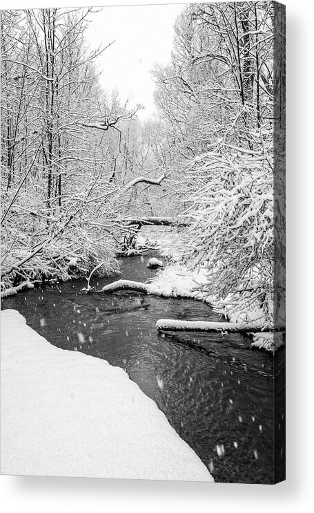 Creek Acrylic Print featuring the photograph Meandering Creek by Dave Niedbala