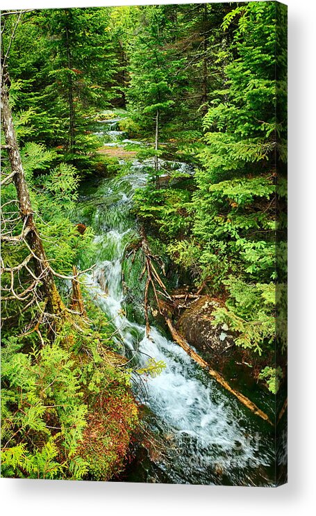 Waterfall Acrylic Print featuring the photograph Meandering Waterfall by Elizabeth Dow