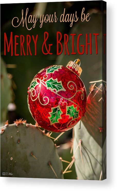 Xmas Acrylic Print featuring the photograph Merry and Bright by Teresa Wilson