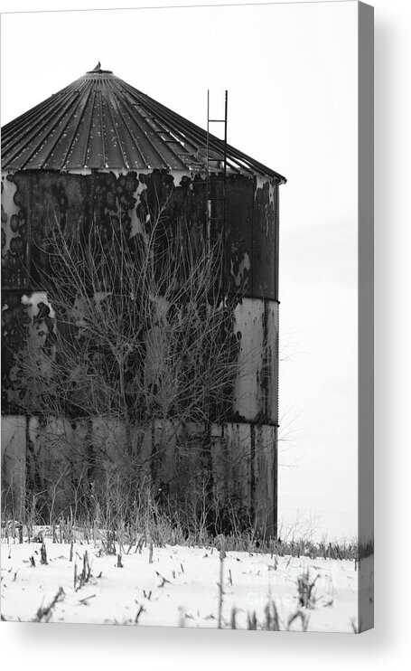 Rural Acrylic Print featuring the photograph Metal storage by Alan Look