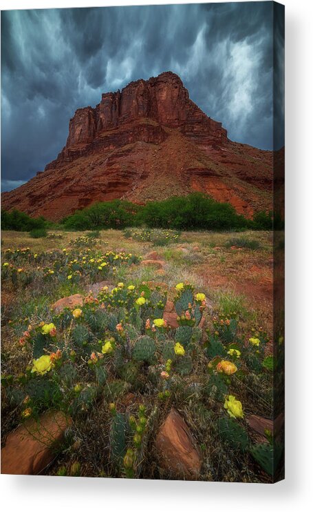 Moab Acrylic Print featuring the photograph Moab Summer Storm by Darren White
