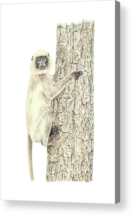 Monkeys Acrylic Print featuring the painting Monkey in the tree by Elizabeth Lock
