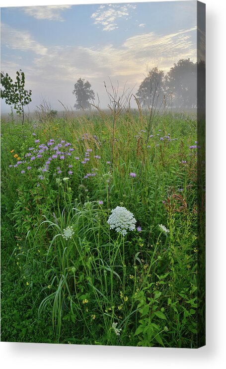 Black Eyed Susan Acrylic Print featuring the photograph Morning Fog over Glacial Park Prairie by Ray Mathis