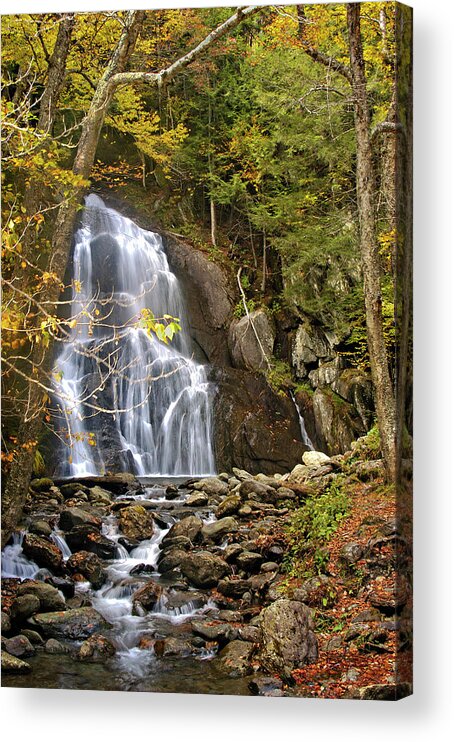Moss Glen Falls;vermont;waterfall;autumn;fall;water;brook;stream;leaves;trees;yellow;green;peace; Serenity;nature;outdoors;hiking;travel;landscape;water;colorful;beauty;jill Love Acrylic Print featuring the photograph Moss Glen Falls by Jill Love