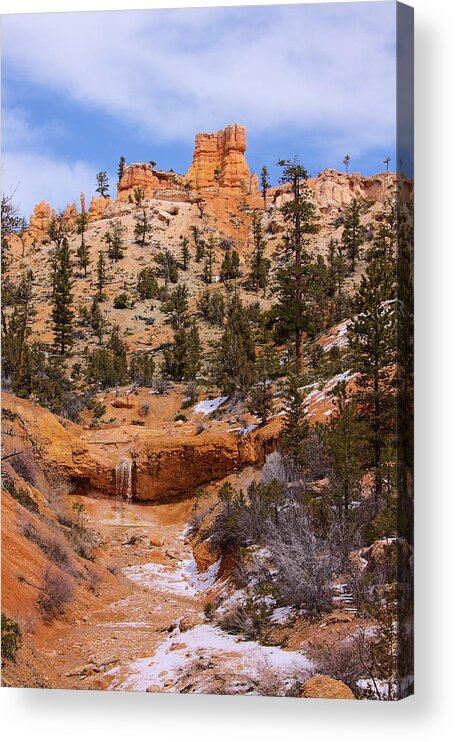 Waterfalls Acrylic Print featuring the photograph Mossy Waterfalls by Viktor Savchenko