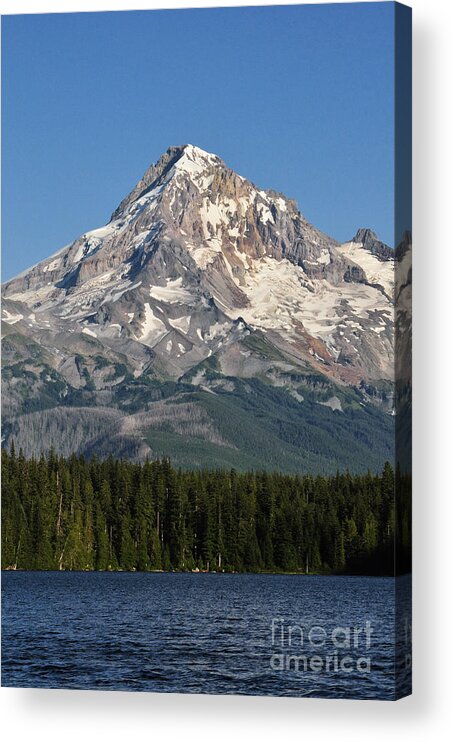 Mount Hood Acrylic Print featuring the photograph Mount Hood above Lost Lake by Stevyn Llewellyn