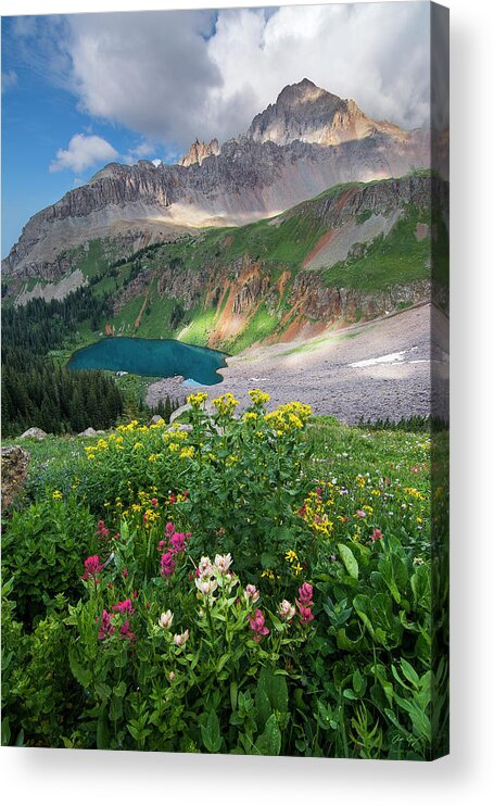 Colorado Acrylic Print featuring the photograph Mount Sneffels Summer by Aaron Spong