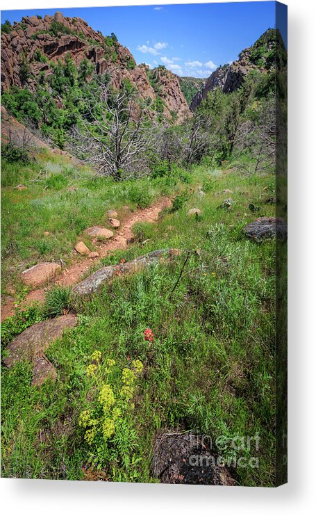 Adventure Acrylic Print featuring the photograph Mountain Trail by Richard Smith