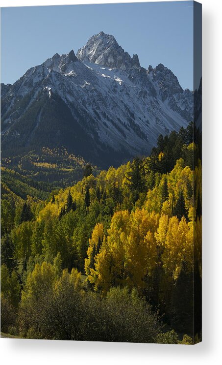 Sneffels Acrylic Print featuring the photograph Mt. Sneffels Fall Vertical by Aaron Spong