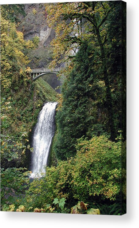 Multnomah Acrylic Print featuring the photograph Multnomah Falls 3 by DArcy Evans