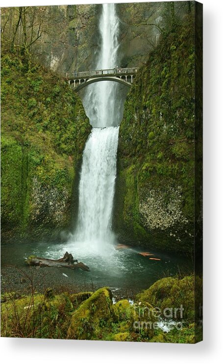 Landscape Acrylic Print featuring the photograph Multnomah falls by Sheila Ping