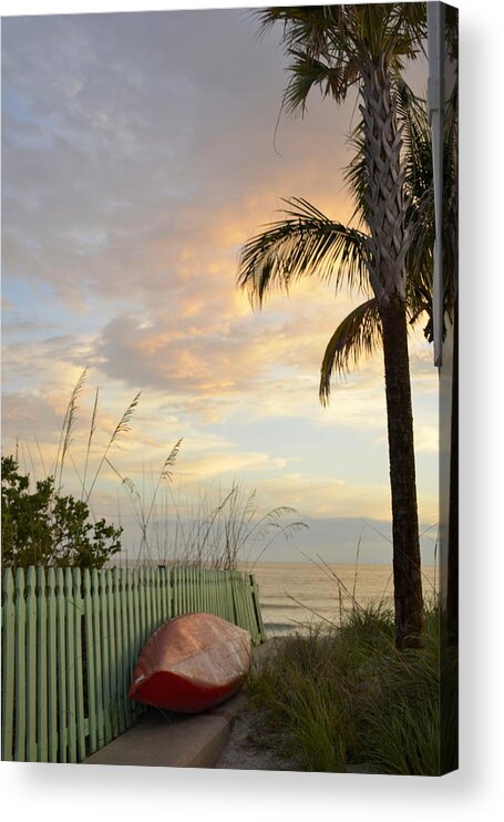 Palm Tree Acrylic Print featuring the photograph My Favorite Place by Alison Belsan Horton