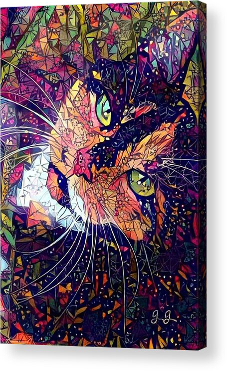 Cat Acrylic Print featuring the photograph Mystical Calico by Geri Glavis