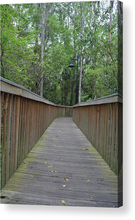 Nature Acrylic Print featuring the photograph Nature Boardwalk by Aimee L Maher ALM GALLERY