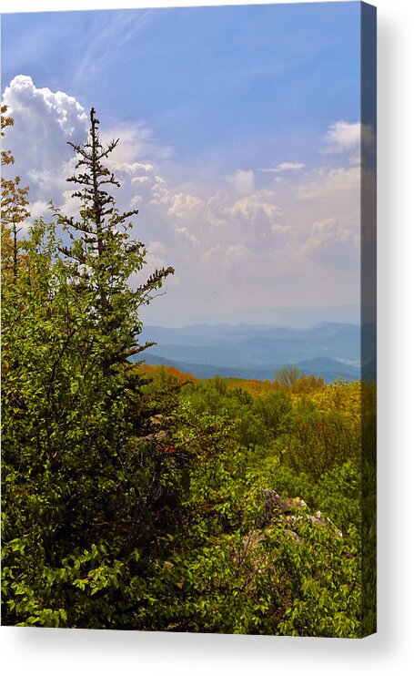 Shenandoah National Park Acrylic Print featuring the photograph Nature's Peace by Mitch Cat