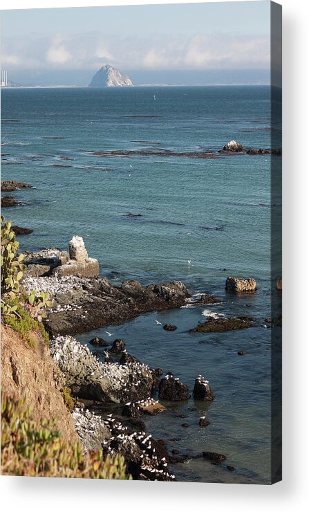 Photograph Acrylic Print featuring the photograph Near Cayucos IV by Suzanne Gaff