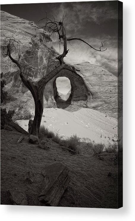 Tree Acrylic Print featuring the photograph Nearer To Thee by Lucinda Walter