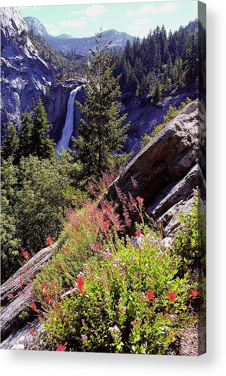 Nevada Falls Acrylic Print featuring the photograph Nevada Falls Yosemite National Park by Alan Lenk