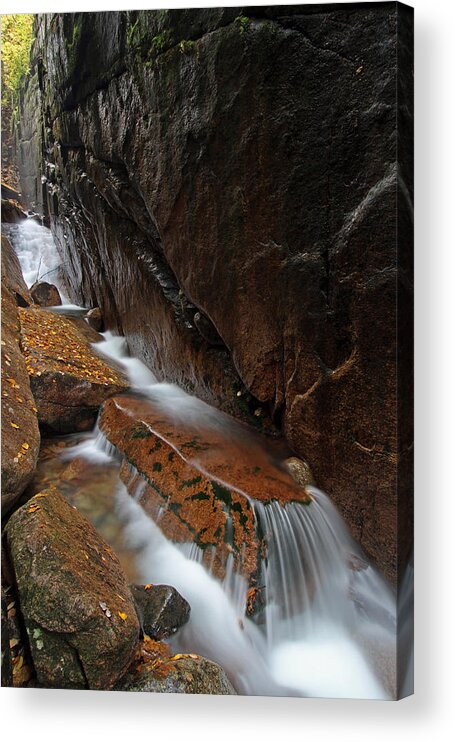 Flume Gorge Acrylic Print featuring the photograph New Hampshire Flume Gorge by Juergen Roth