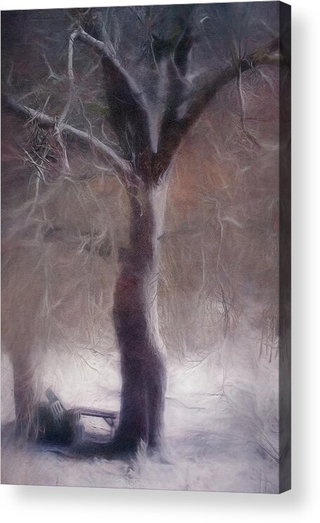 Tree Acrylic Print featuring the photograph Nor'easter #3 by Kate Hannon