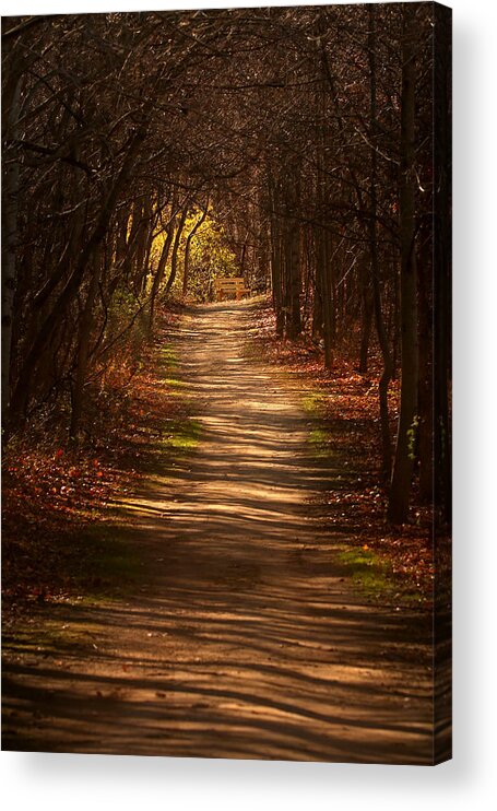 Pathway Acrylic Print featuring the photograph November Shadows by Rob Blair