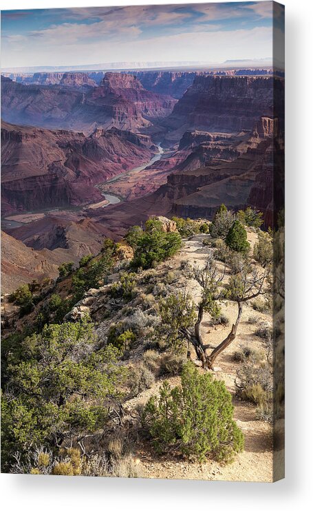 Landscape Acrylic Print featuring the photograph Looking Out The Front Door by Jay Beckman