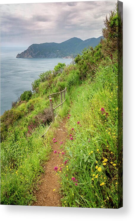 Joan Carroll Acrylic Print featuring the photograph On the Trail to Vernazza Cinque Terre Italy by Joan Carroll