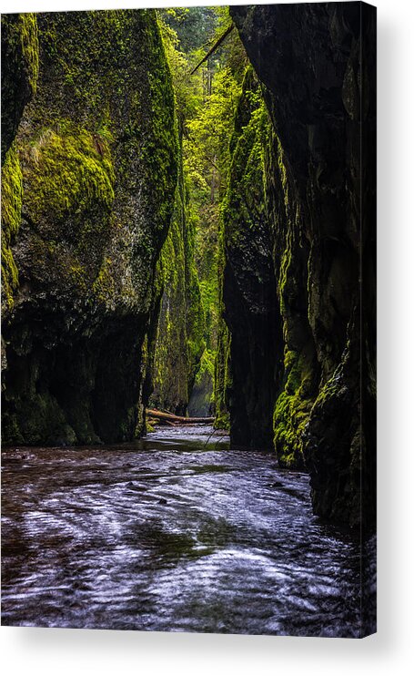 Oneonta Gorge Acrylic Print featuring the photograph Oneonta Gorge by Chuck Jason