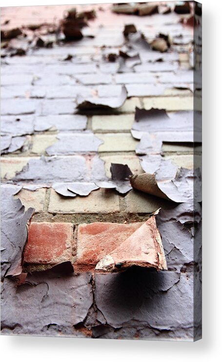 Peeling Acrylic Print featuring the photograph Onion Skin Wall by Kreddible Trout