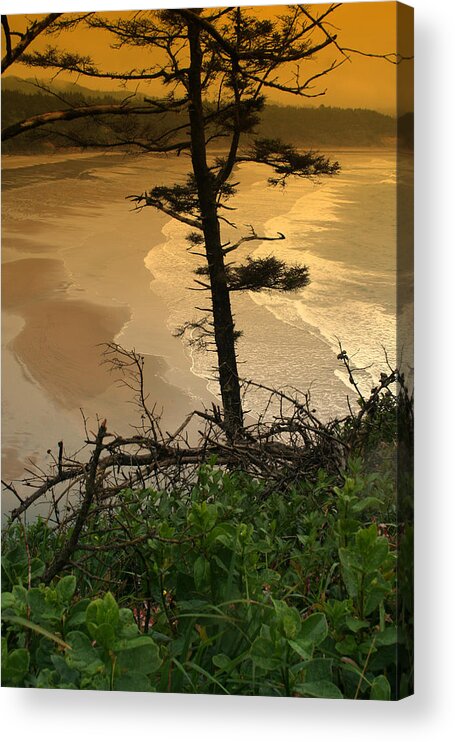 Oregon Acrylic Print featuring the photograph Oregon Coast OO44 by Mary Gaines